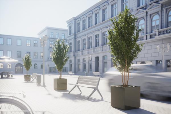 Street tree in planter