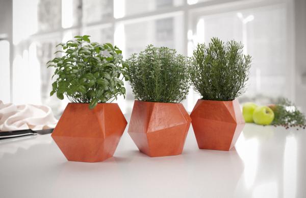 Herbs in pots