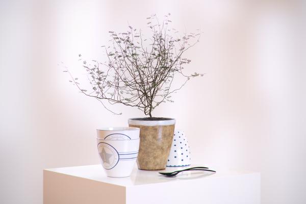 Plant in a decorated pot