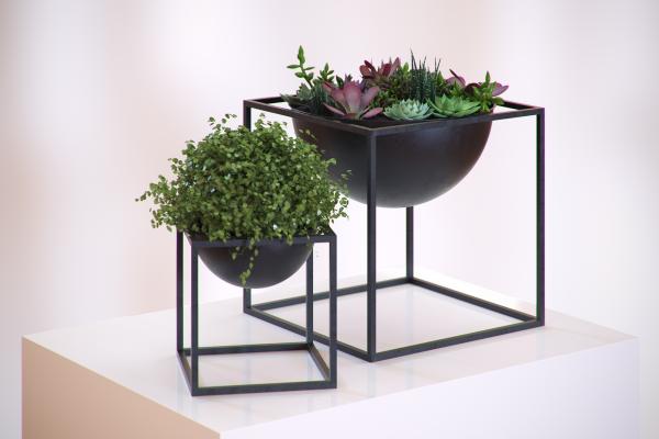  Plants in a modern metal pot