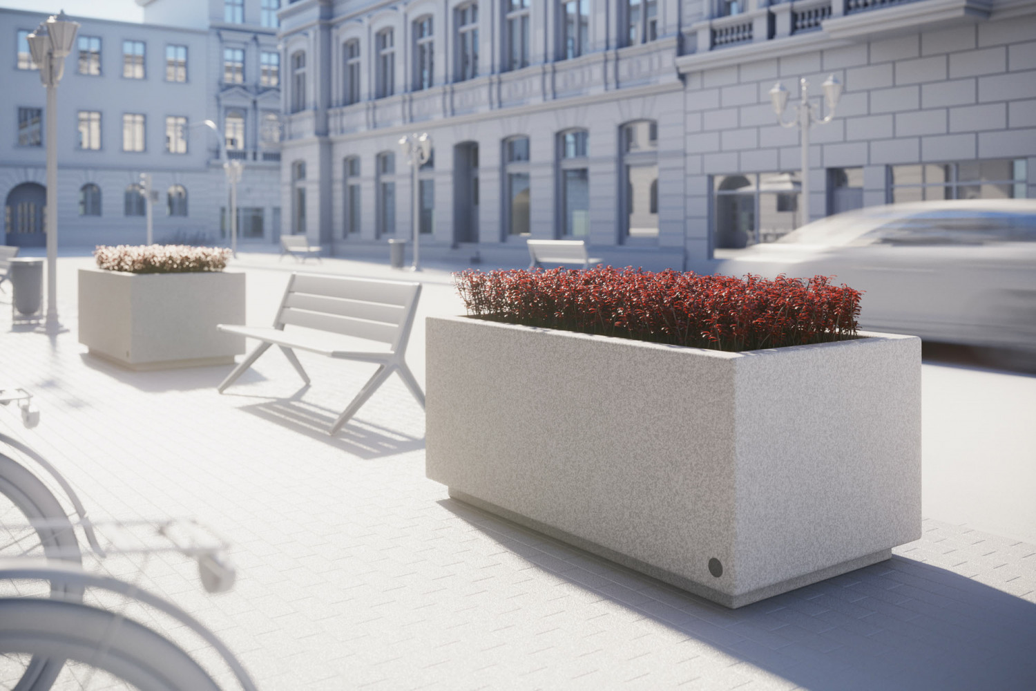 Flowers in planter image