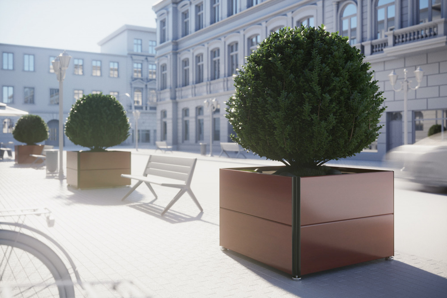 Bush in planter image