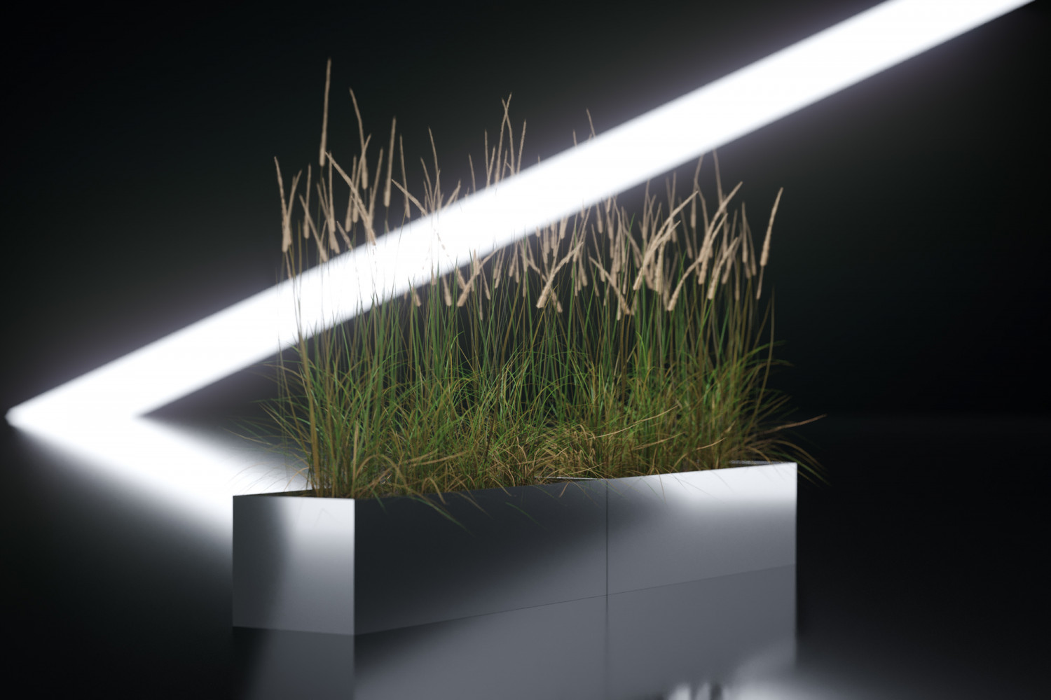 Large ornamental grass in planter image