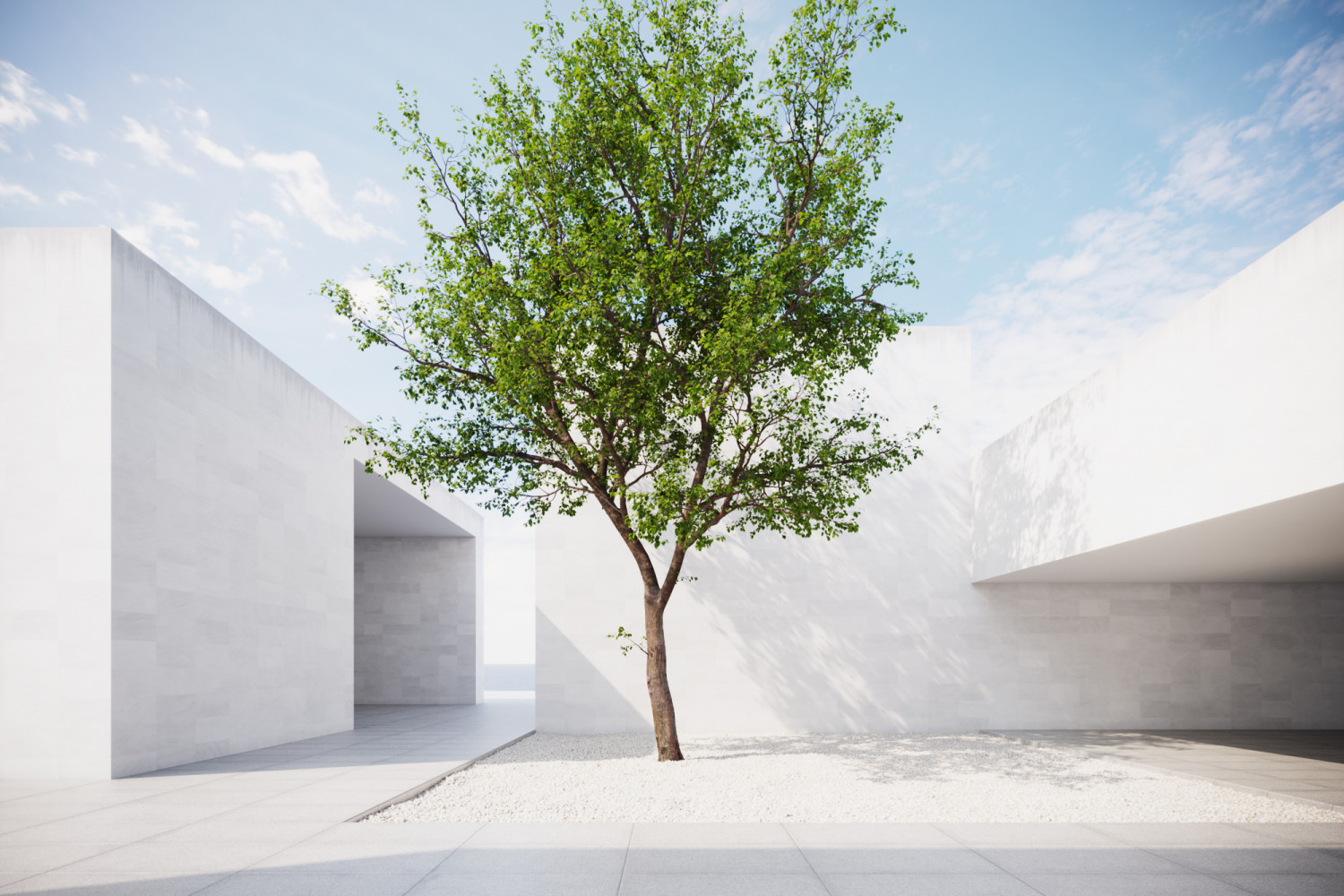 Large tree