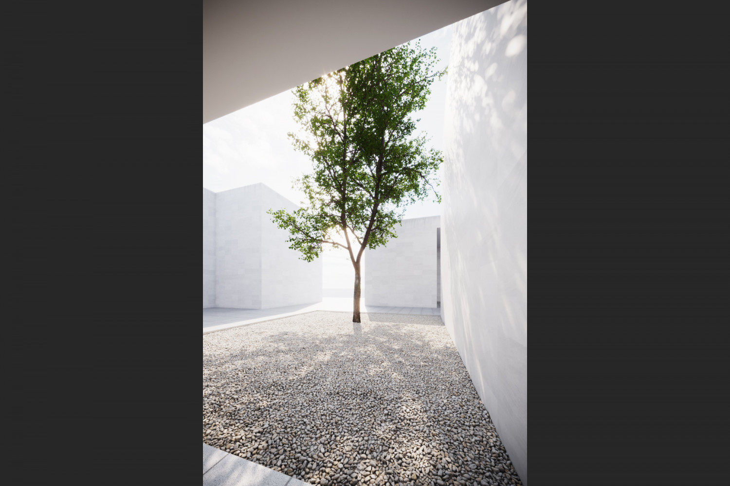 Large tree