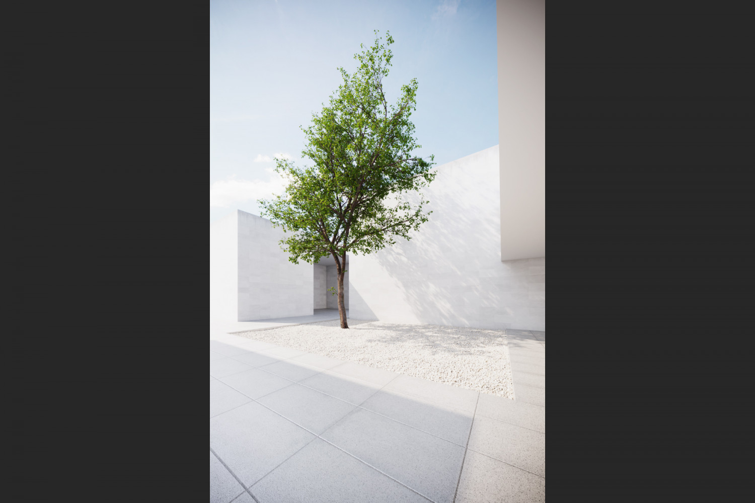 Large tree