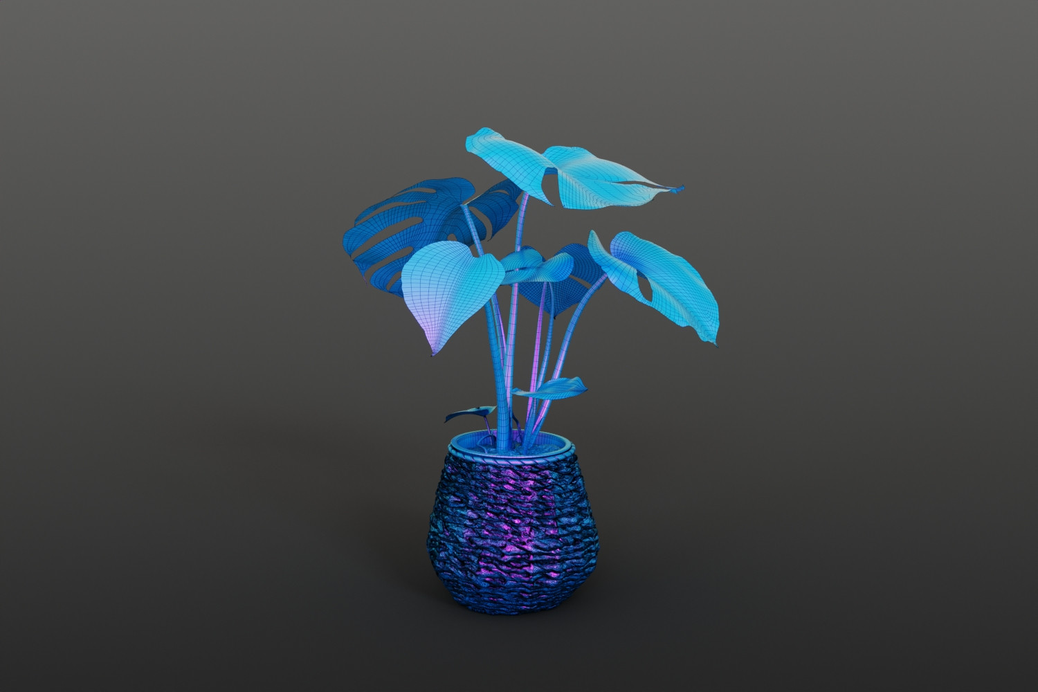 Monstera in willow basket 3D Model