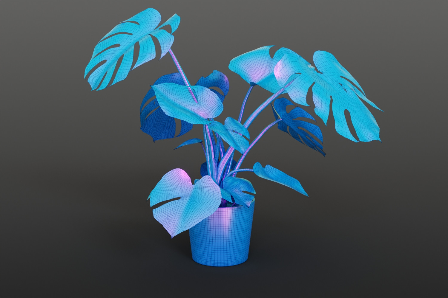 Monstera in ceramic pot 3D Model