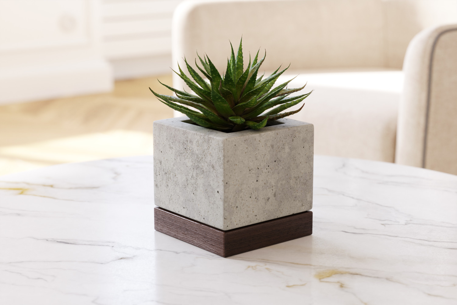 Aloes in concrete pot 3D Model