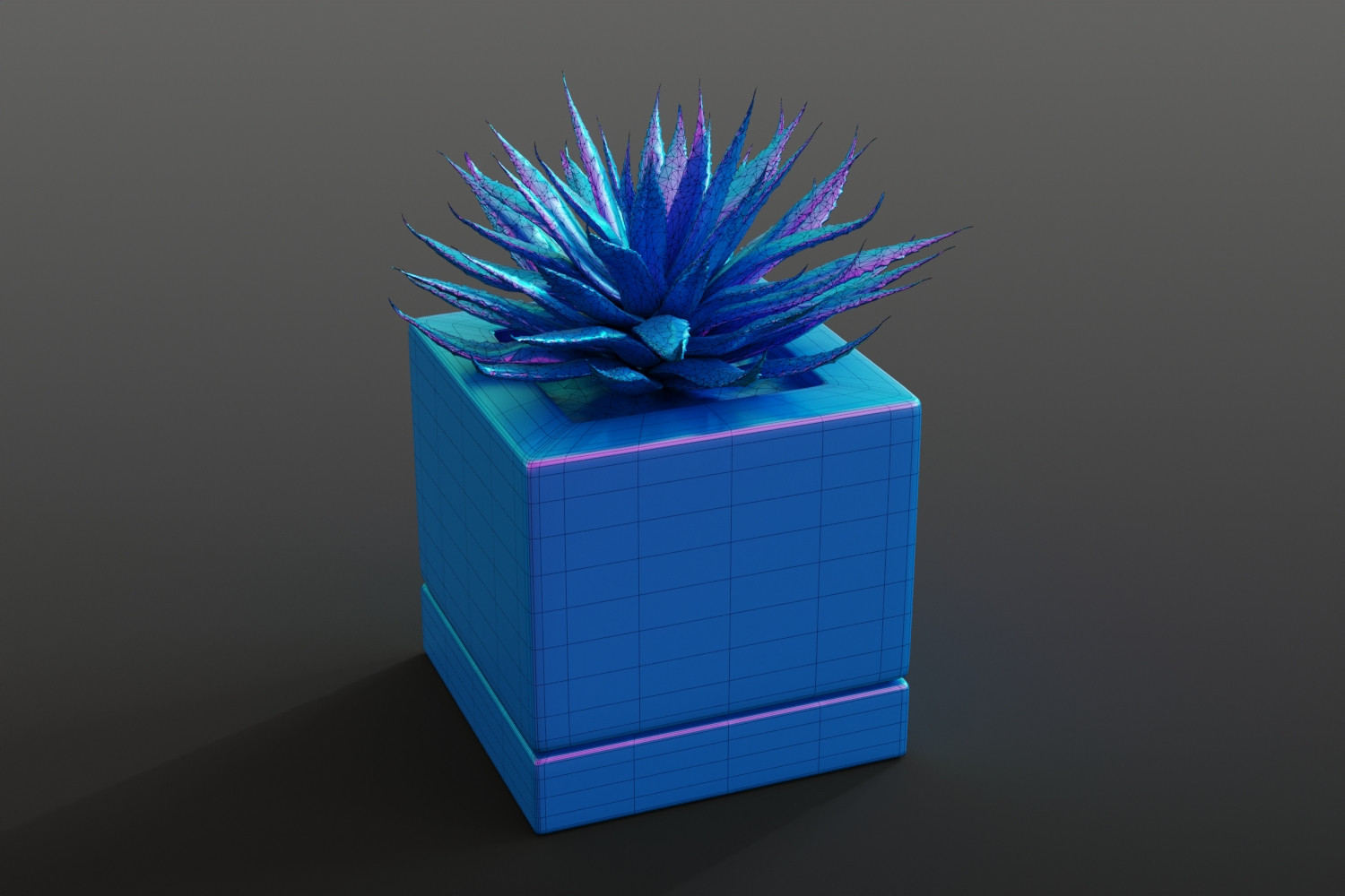 Aloes in concrete pot 3D Model